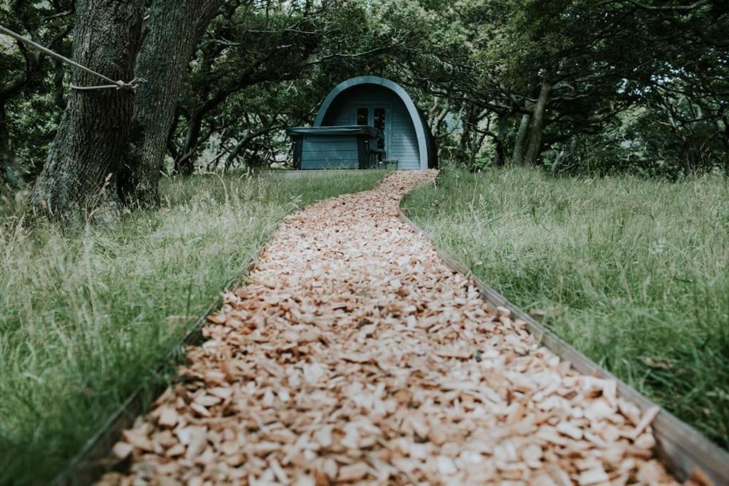 Snowdonia Mawddach Cabin + Hot Tub Barmouth Extérieur photo
