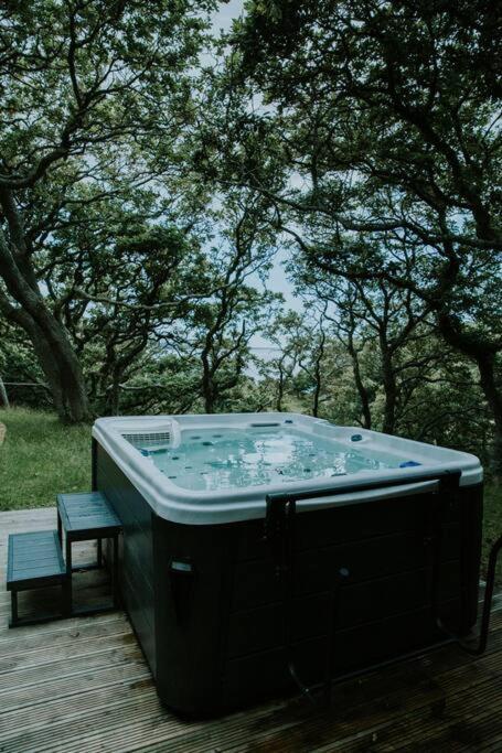Snowdonia Mawddach Cabin + Hot Tub Barmouth Extérieur photo