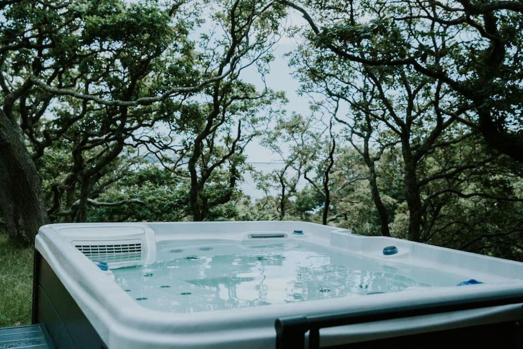 Snowdonia Mawddach Cabin + Hot Tub Barmouth Extérieur photo